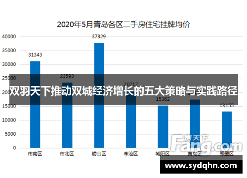 双羽天下推动双城经济增长的五大策略与实践路径