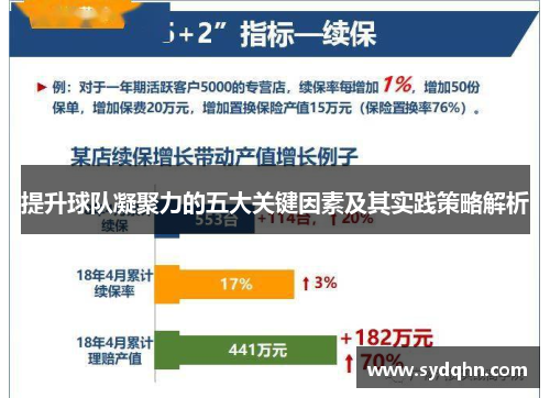 提升球队凝聚力的五大关键因素及其实践策略解析