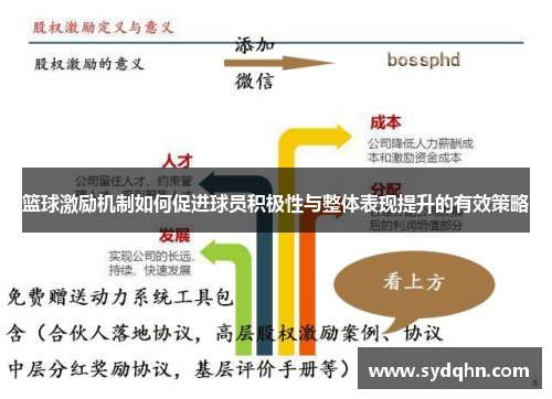 篮球激励机制如何促进球员积极性与整体表现提升的有效策略