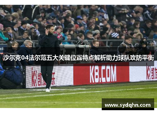 沙尔克04法尔范五大关键位置特点解析助力球队攻防平衡