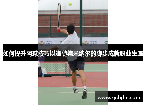 如何提升网球技巧以追随德米纳尔的脚步成就职业生涯
